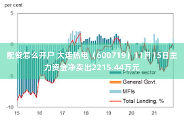 配资怎么开户 大连热电（600719）11月15日主力资金净卖出2215.44万元