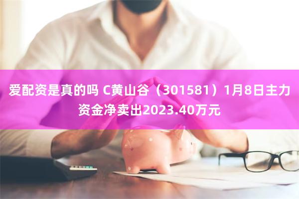 爱配资是真的吗 C黄山谷（301581）1月8日主力资金净卖出2023.40万元