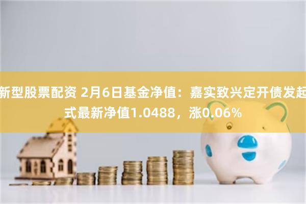 新型股票配资 2月6日基金净值：嘉实致兴定开债发起式最新净值1.0488，涨0.06%