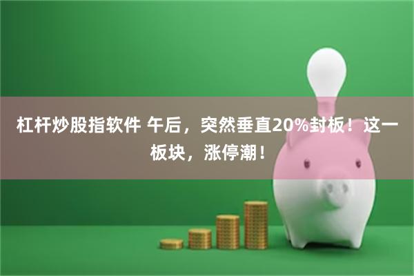 杠杆炒股指软件 午后，突然垂直20%封板！这一板块，涨停潮！