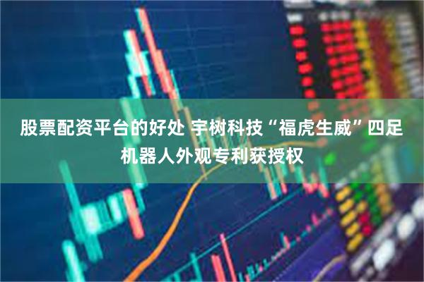 股票配资平台的好处 宇树科技“福虎生威”四足机器人外观专利获授权