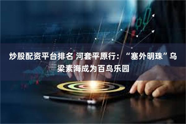 炒股配资平台排名 河套平原行：“塞外明珠”乌梁素海成为百鸟乐园