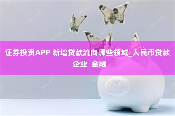 证券投资APP 新增贷款流向哪些领域_人民币贷款_企业_金融