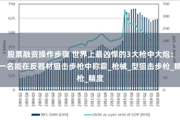 股票融资操作步骤 世界上最凶悍的3大枪中大炮：第一名能在反器材狙击步枪中称霸_枪械_型狙击步枪_精度