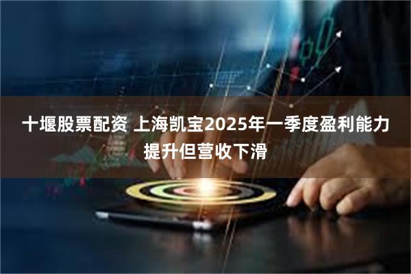 十堰股票配资 上海凯宝2025年一季度盈利能力提升但营收下滑