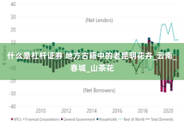 什么是杠杆证券 地方古籍中的老昆明花卉_云南_春城_山茶花