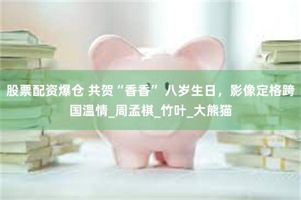 股票配资爆仓 共贺“香香” 八岁生日，影像定格跨国温情_周孟棋_竹叶_大熊猫