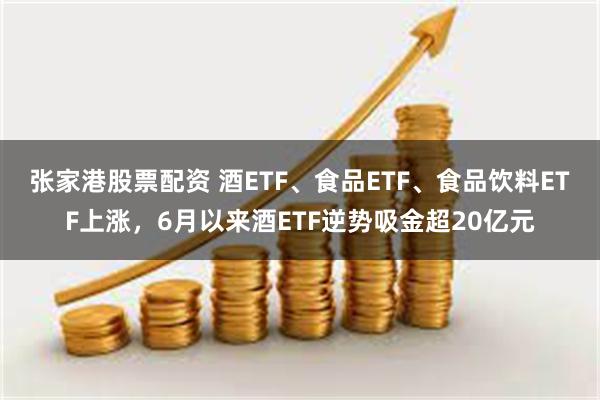 张家港股票配资 酒ETF、食品ETF、食品饮料ETF上涨，6月以来酒ETF逆势吸金超20亿元