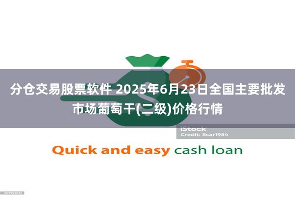 分仓交易股票软件 2025年6月23日全国主要批发市场葡萄干(二级)价格行情