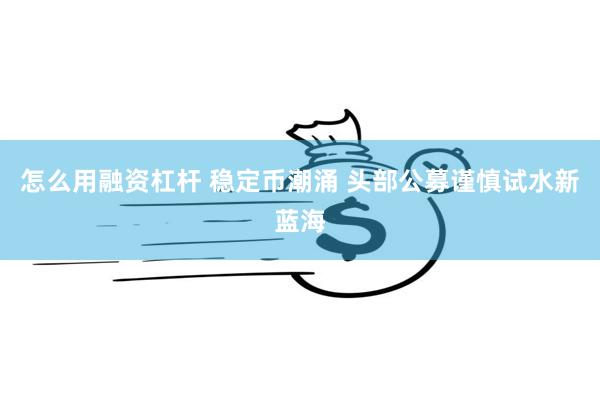 怎么用融资杠杆 稳定币潮涌 头部公募谨慎试水新蓝海