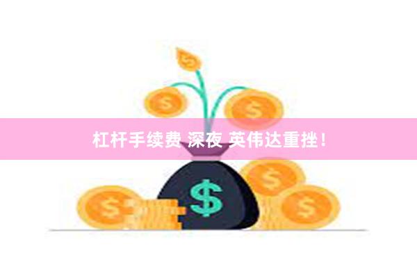 杠杆手续费 深夜 英伟达重挫!